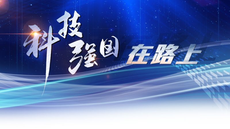 容器存储：构建高效数据中心的基石**